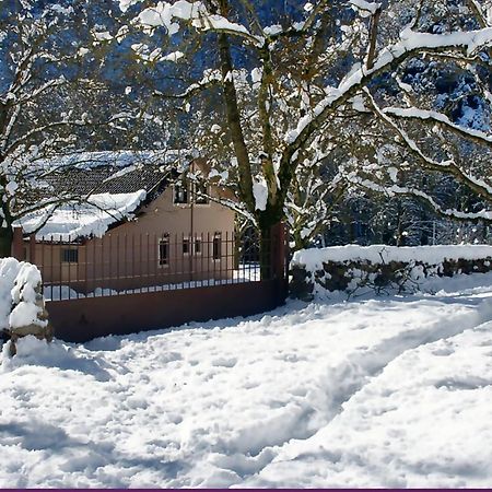 Chalet Coquelicot  Kalavryta Esterno foto