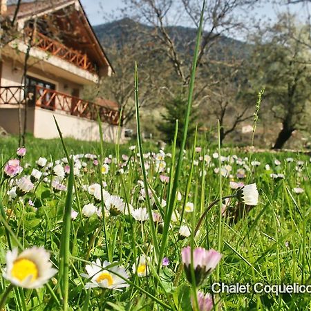 Chalet Coquelicot  Kalavryta Esterno foto