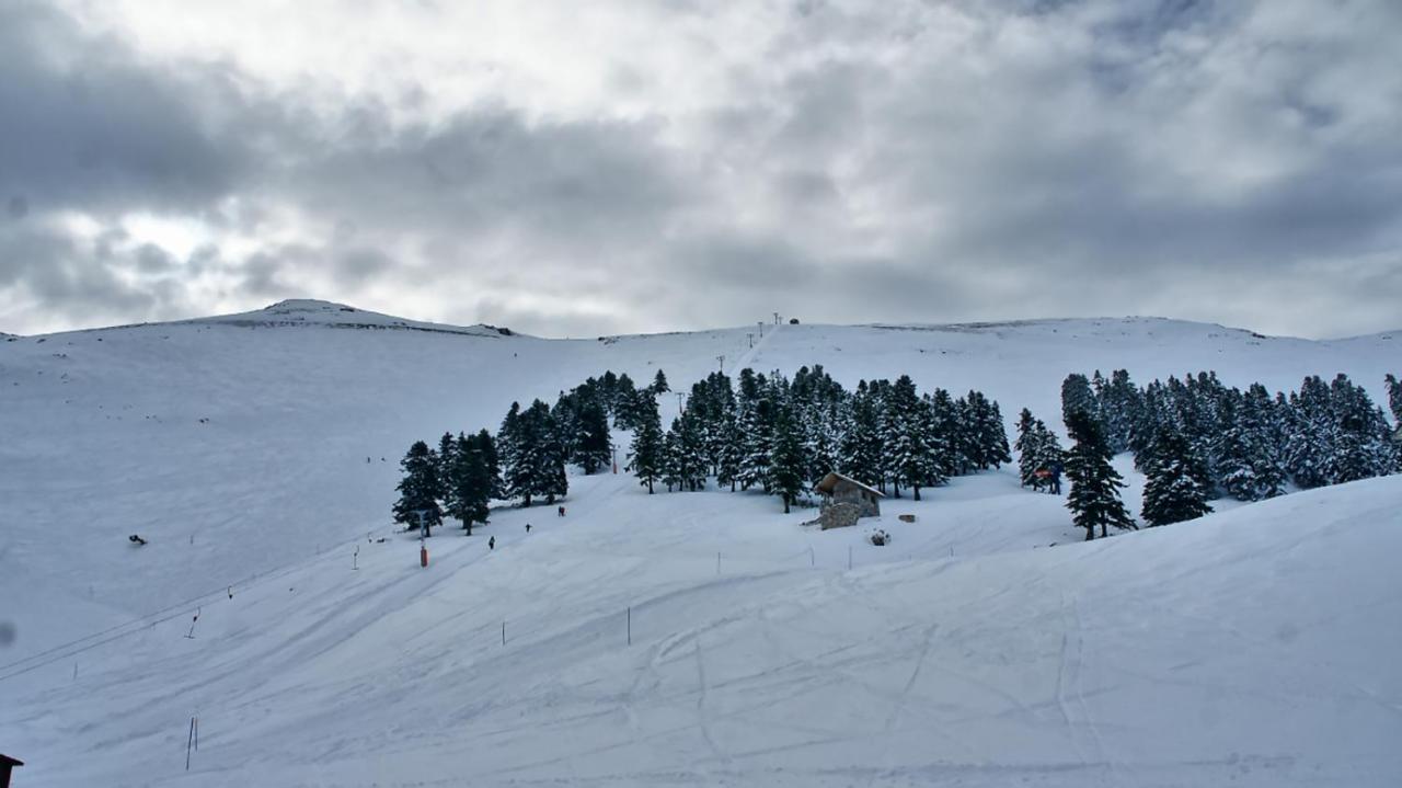 Chalet Coquelicot  Kalavryta Esterno foto
