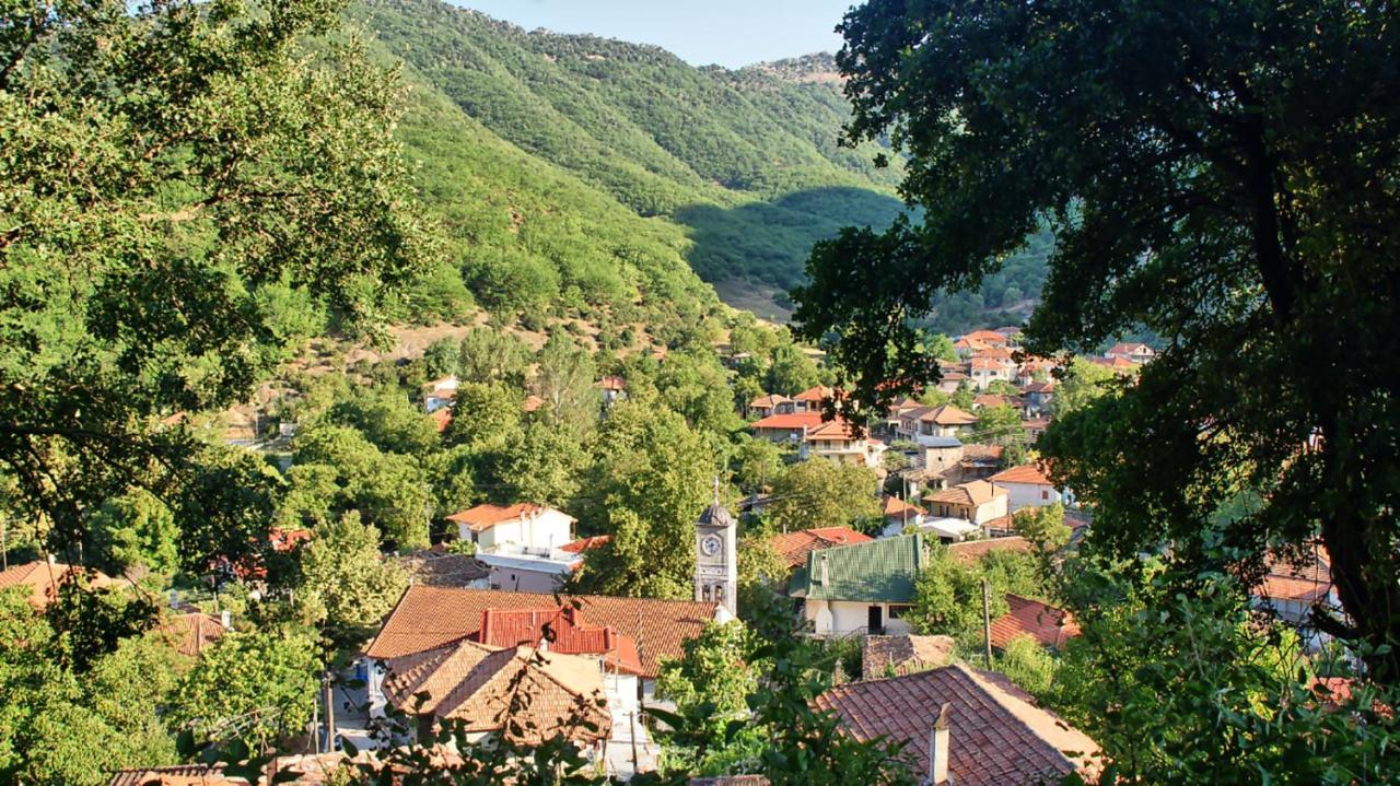Chalet Coquelicot  Kalavryta Esterno foto