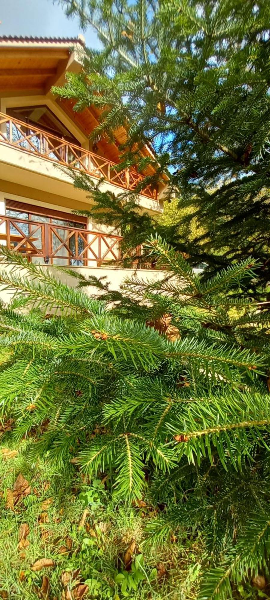 Chalet Coquelicot  Kalavryta Esterno foto